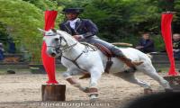 images/events/galerie1/Working Equitation (2).jpg